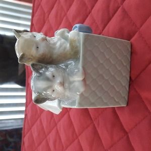 Nao Gift Boxed Kittens